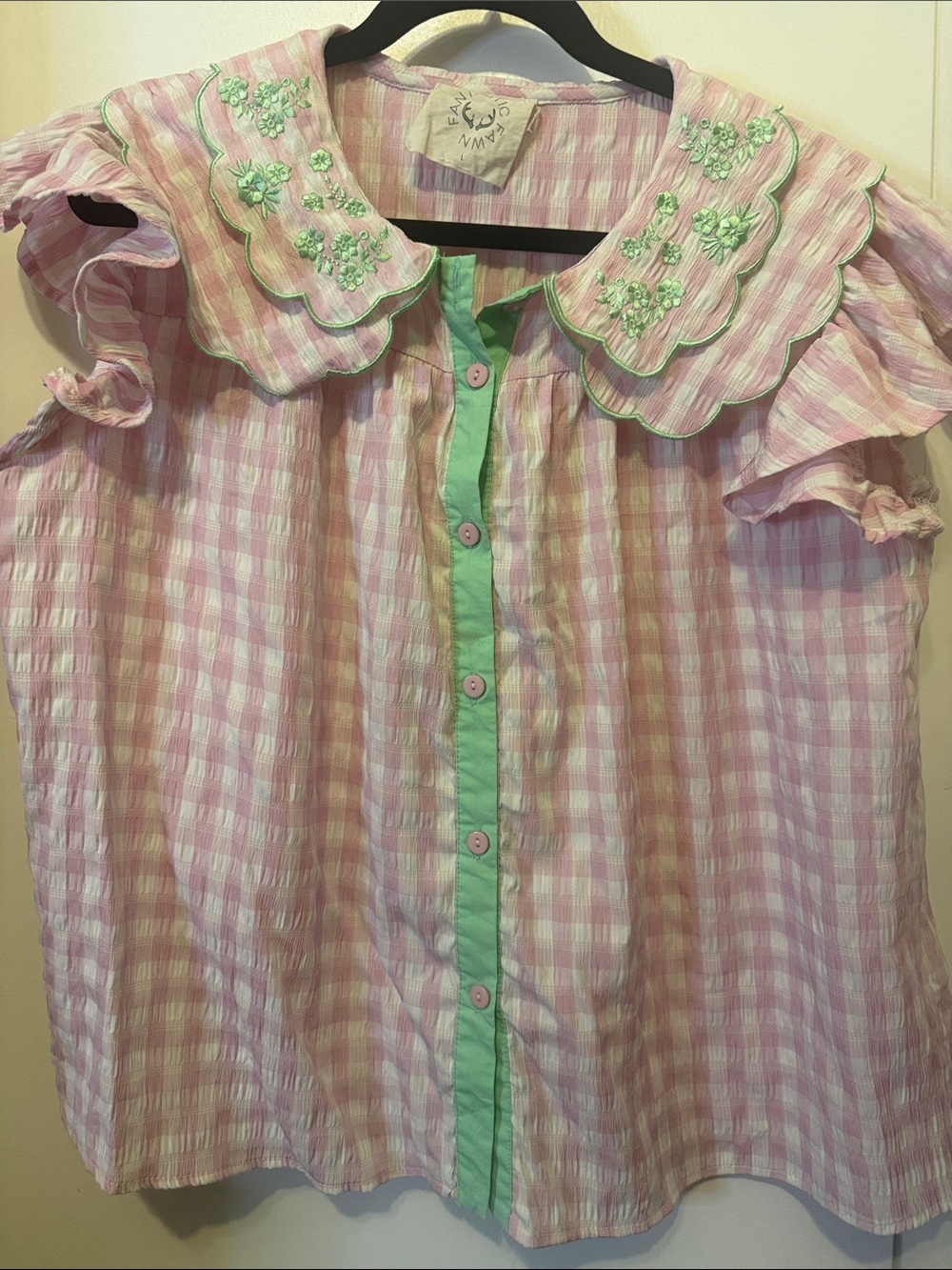 Fantastic Fawn Pink Gingham Floral Embroidered Collar Blouse with Mint Trim